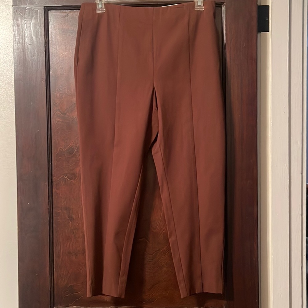 NWT comfort waist ankle Alfani brown pants 14P